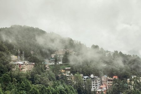 green trees and city buildings under white clouds during daytime